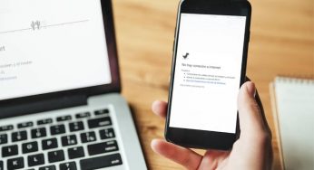Por daños en la fibra óptica, Colapsa servicio internet en Q. Roo.