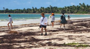 Realizan “Festival de los Océanos”, limpieza en reserva de la biósfera
