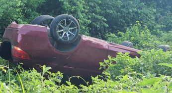 Acaba automóvil entre la maleza al salirse de la carretera Tulum-Coba