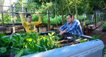Invita SEMA a participar en la Mega Arborización en todo Quintana Roo