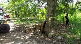 Hallan un cadáver en estado de descomposición en la colonia Bicentenario de Chetumal