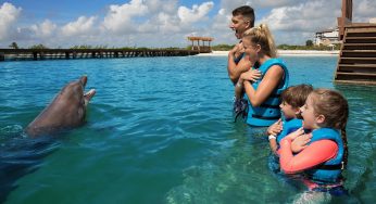 Revés a concentración de empresas delfinarias