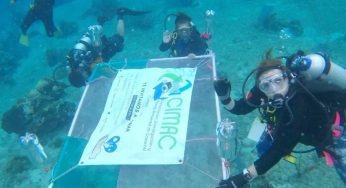 Previenen blanqueamiento de coral con malla sombra en Cozumel