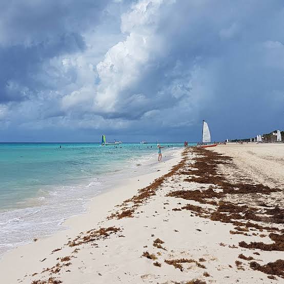 Se acerca el frente frío 8 y así afectará a Quintana Roo