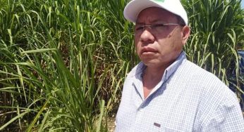 Zafra afectada por frentes fríos