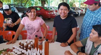 Preparan Foro Peninsular de apicultura, semillas nativas y meliponicultura
