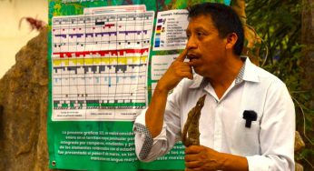 Alistan resultados de cabañuelas mayas 2024