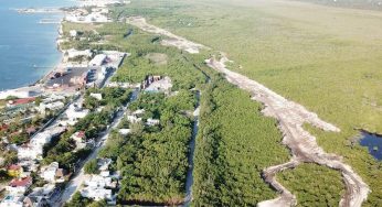 Decreta Federación Área Natural Protegida a los manglares de Puerto Morelos