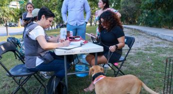 Fomenta gobierno de Benito Juárez cuidado responsable de los animales