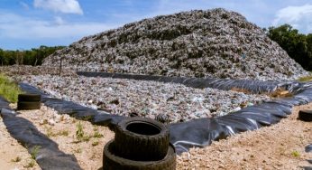 Urgen acciones para plan de manejo de la basura en Tulum