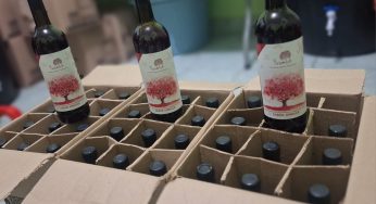 Llegan a EU cervezas y vinos hechos con frutas de la región por jóvenes mayas de Felipe Carrillo Puerto