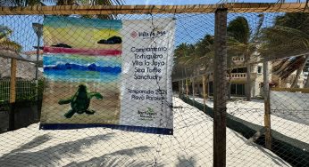 Exigen revocar licencia para construir 44 departamentos en campamento Tortuguero de Playa Paraíso