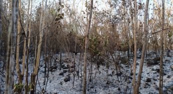 Implacables los incendios en la zona rural de Felipe Carrillo Puerto