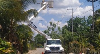 CFE inicia trabajos de poda de árboles para evitar afectaciones a los cables de alta tensión