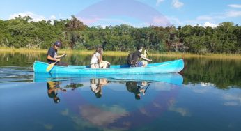 Impacta “Beryl” actividades ecoturísticas de Lázaro Cárdenas