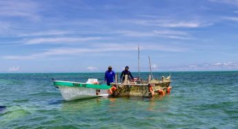 Captura de langosta se pospondrá a fin de proteger las embarcaciones de los pescadores
