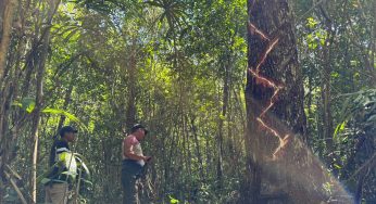 Sin afectaciones por el huracán Beryl se reportan cultivos del programa Sembrando Vida en Carrillo Puerto