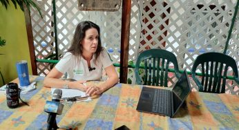 Persiste construcción de Solimán en Tulum en zona de tortugas pese a denuncias y amparos