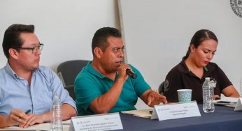 Regidores de Playa del Carmen buscan claridad sobre permisos para ambulantes en Quinta Avenida