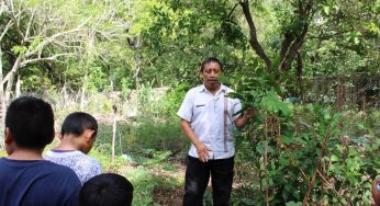 Reconocen a campesinos mayas por su contribución en la conservación de semillas y saberes agrícolas