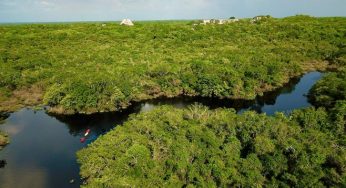 Sólo Quintana Roo, Yucatán y Baja California están libres de sequía, señala el Servicio Meteorológico