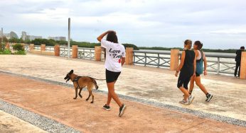 Cancún logra recuperarse en menos de 24 horas tras el paso de “Beryl”