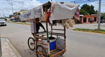 Ramas en la ciclopista un riesgo para el paso de bicicletas y triciclos.