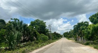 Comunidades rurales se quedarán sin energía eléctrica el fin de semana; para que ejidatarios realicen trabajos de poda y mantenimiento