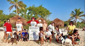 Piden se instale infraestructura para las mascotas en la Playa 72