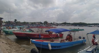 Autoridades federales a la caza de pescadores que no cuenten con su documentación en regla