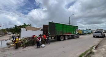 Cañeros de la Ribera del Río Hondo claman por subsidios federales ante incrementos en insumos y costos de producción