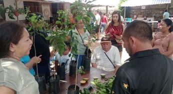 Campesinos de Felipe Carrillo Puerto inician capacitación en injertos de plantas frutales tras sequía