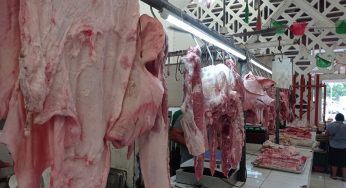 Descartan presencia de salmonella en carnicerías de la Zona Norte tras inspección de Cofepris