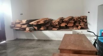 PROFEPA interviene tras decomiso de tablones de cedro en Tihosuco