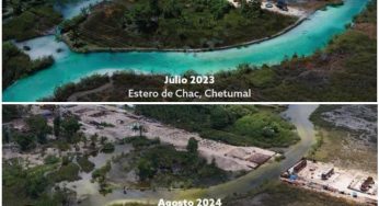 Alarman daños a Estero de Chac, hay visible coloración de agua