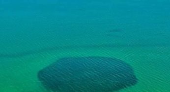 Destinan recursos para investigaciones sobre los agujeros azules