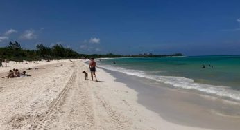 Consideran necesario declarar como área natural protegida a la playa Chen Zubul