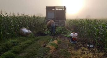 Necesario el apoyo para realizar pozos profundos en campos de maíz