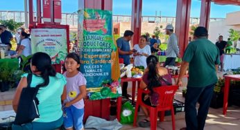Inauguran primer tianguis campesino en la estación del Tren Maya en Nuevo Xcan