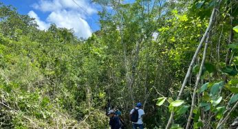 Inicia jornada de corte de maleza para mejorar el suministro eléctrico en Tihosuco