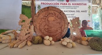 Artesanos locales piden apoyo; luchan por sobrevivir