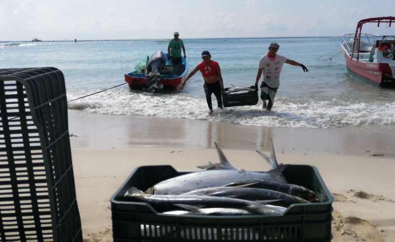 Investigador advierte sobre el riesgo de extinción de especies marinas por la pesca profunda y la actividad humana