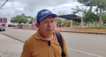 Reducen producción de papaya en ejido de José María Morelos por falta de apoyos