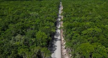 Frenan proyecto ‘Puerta al Mar’ de Felipe Carrillo Puerto