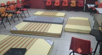Refugios en Cancún atendieron a 57 personas y 13 mascotas tras ciclón