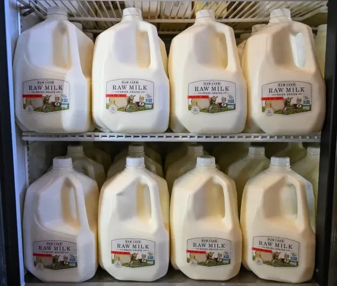 Detectan gripe aviar en leche que iba a ser vendida al público