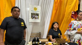 Apicultores aprovechan la miel en diferentes presentaciones para su comercialización