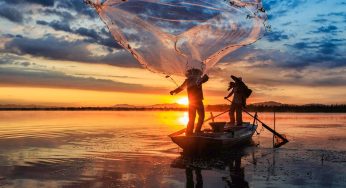 Fundación Saving Our Sharks y pescadores trabajan juntos para reducir pesca de tiburones y rayas