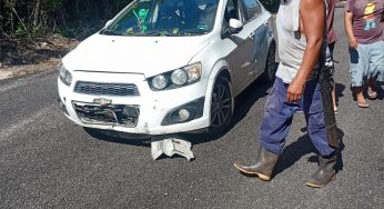 Grava suelta y falta de señalización causan accidentes en tramo de Dzula – Laguna Kana