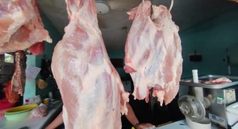 Baja la venta de carne de cerdo en José María Morelos
